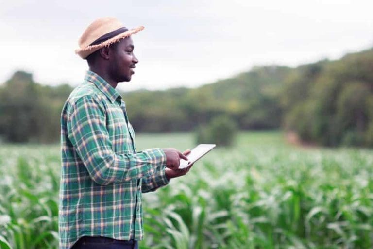 Data delivered over the cloud can do things like help farmers make planting decisions.
