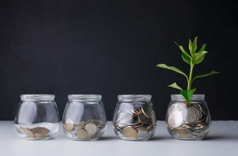 Plant growing on coins in glass jar. Increasing quantity of cash, startup, money growth concept. Prostock-studio / Shutterstock.com