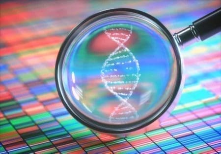 DNA