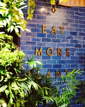 Lexi’s Healthy Eatery