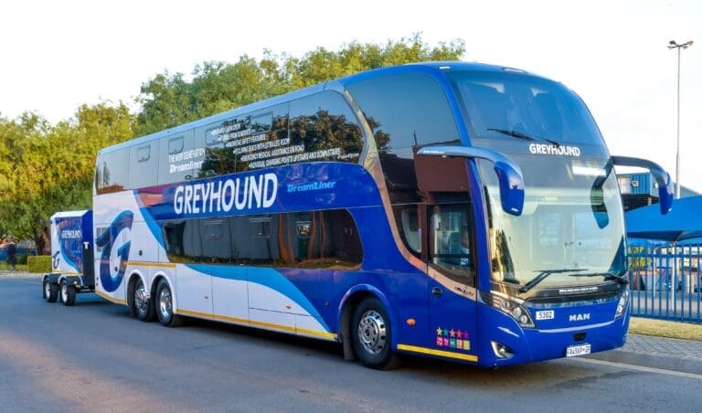 Greyhound