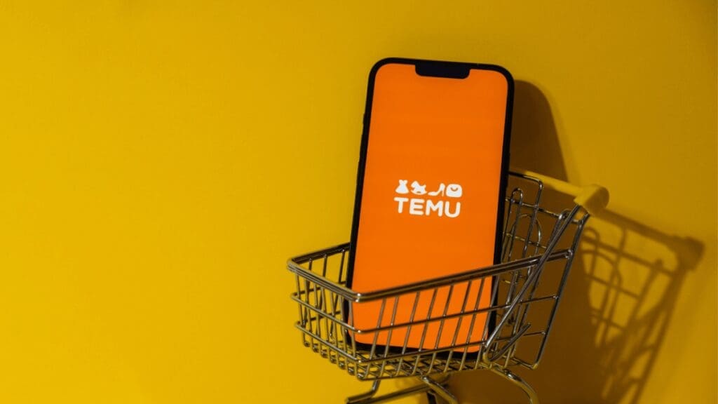 From China To South Africa: Temu’s Journey To E-Commerce Dominance T