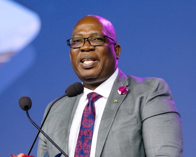 Premier Panyaza Lesufi