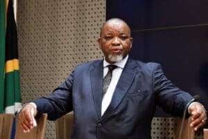 Gwede Mantashe.