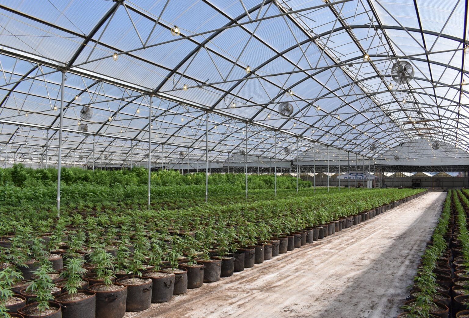 How Agri-Tech Is Powering South Africa’s Cannabis Boom Cannabis Farming