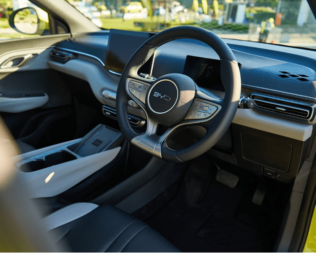 BYD Dolphin Surf