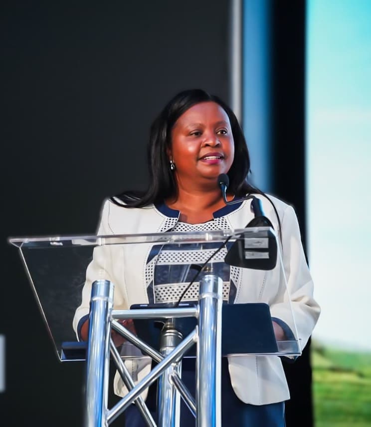 BBI Chairperson_Zandile Kabini