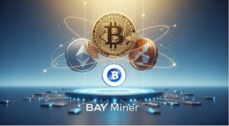 bay miner