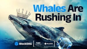 blockdag whales are rushing in