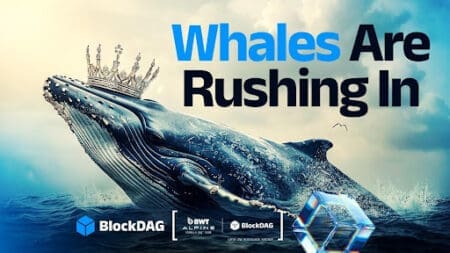blockdag whales are rushing in