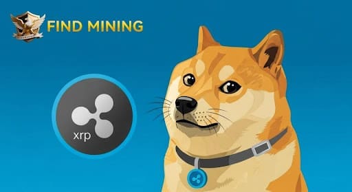 find mining