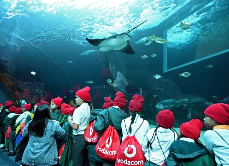Vodacom