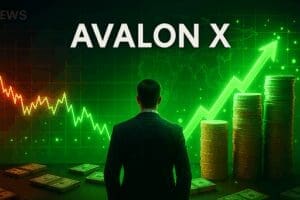 Avalon X